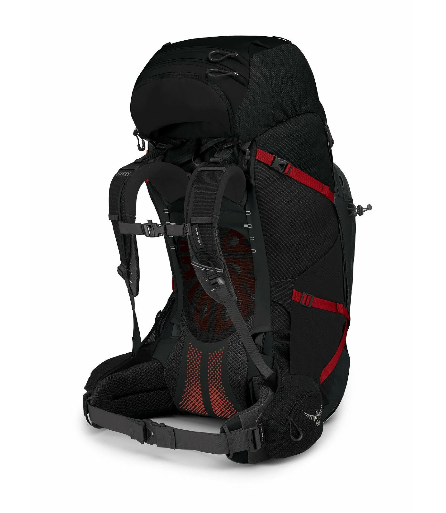 Osprey Aether Plus 85 Men's Backpack - Image 4