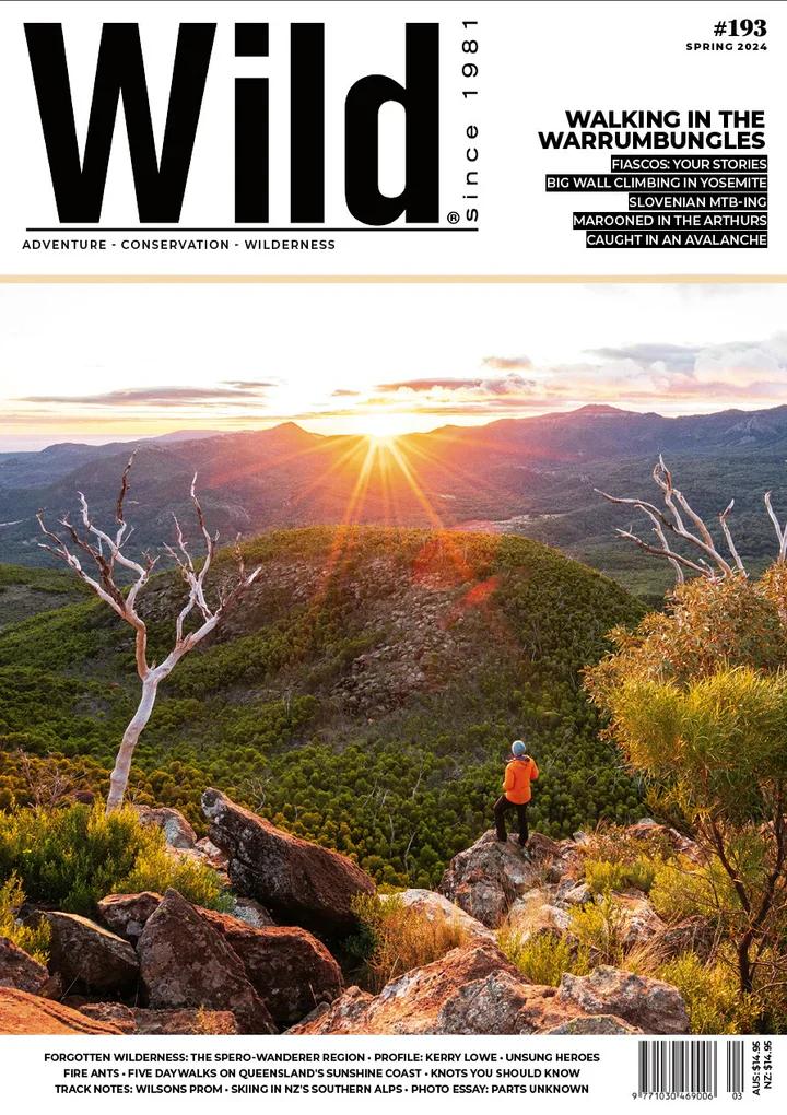 Wild Magazine - Image 6